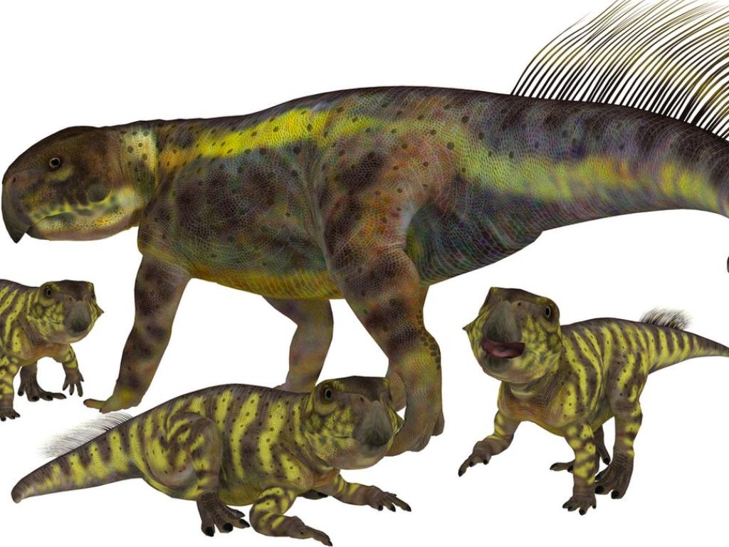 Нов фосил на динозавъра от периода Креда Psittacosaurus тревопасно животно