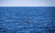 Морето взе жертва, жена се удави край Несебър
