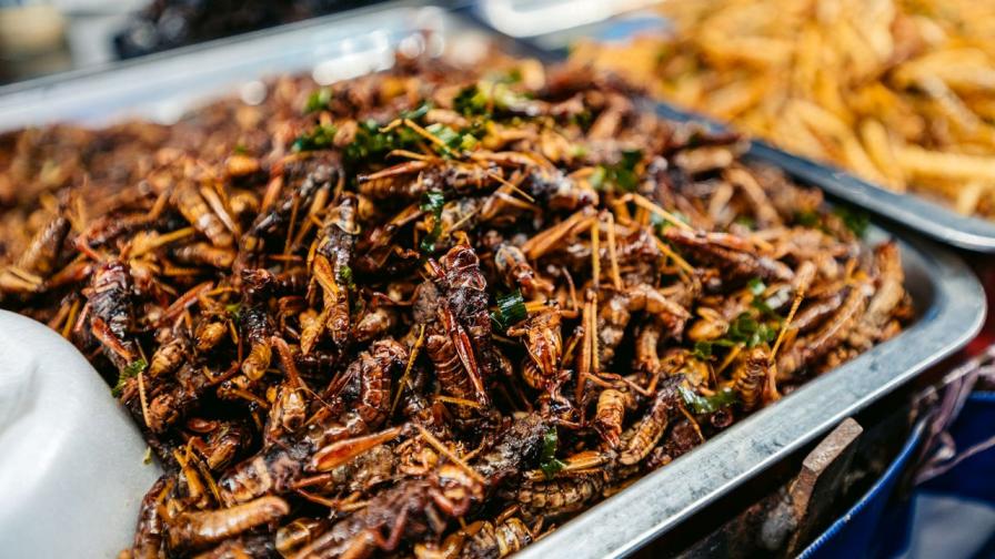 <p>Тази азиатска държава обяви насекомите за храна</p>