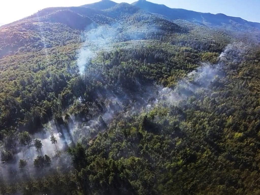 Пожар е възникнал в района на връх Синаница каза пред