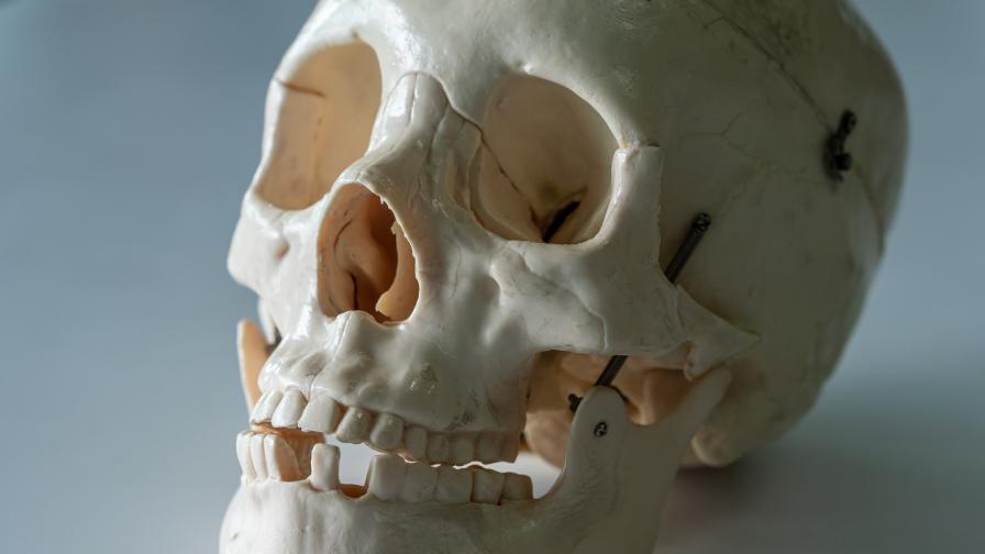 Мистерия в Бостън: Череп в бетон разпали слухове за мафиотско убийство