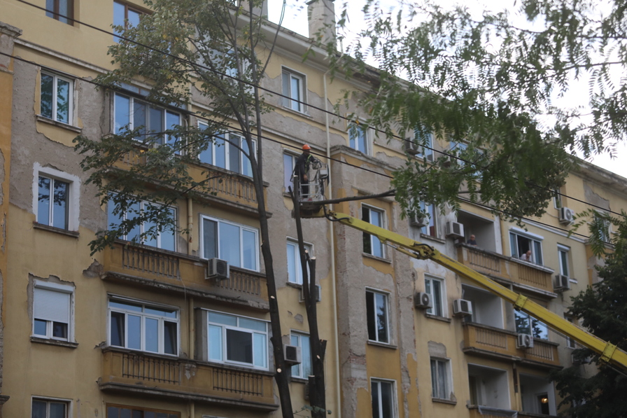 <p>Започна рязането на дървета на улица &quot;Опълченска&quot; в София</p>