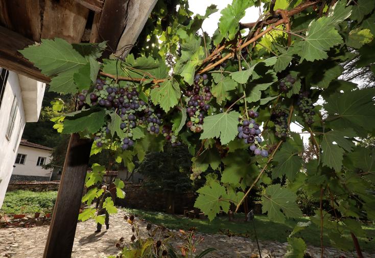 манастир боб манастирски елешница Елешнишкият манастир Успение на Пресвета Богородица