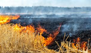 Голям пожар гори до село Бодрово