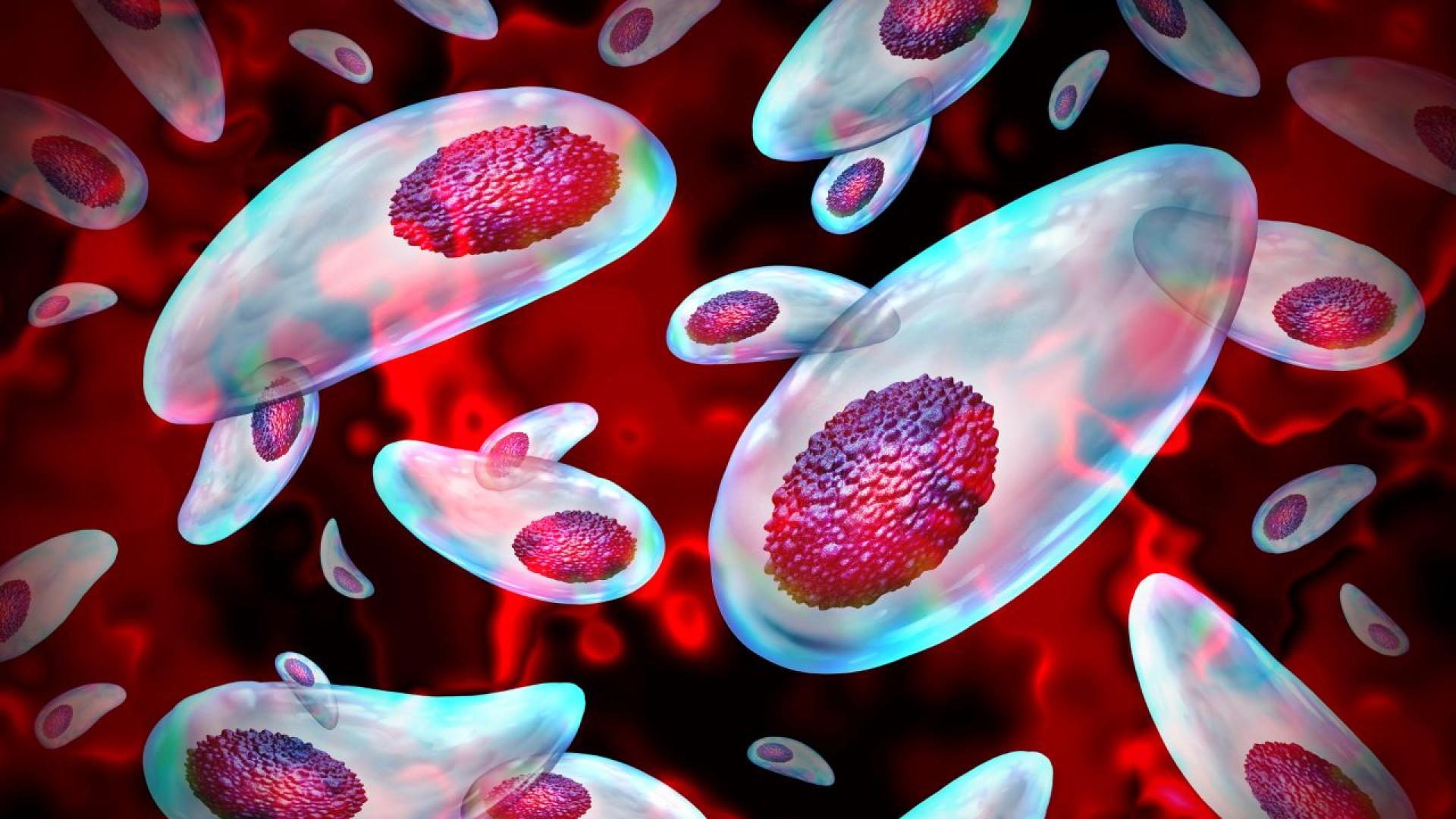 Колумбийското правителство обяви извънредно положение в цялата страна късно вчера