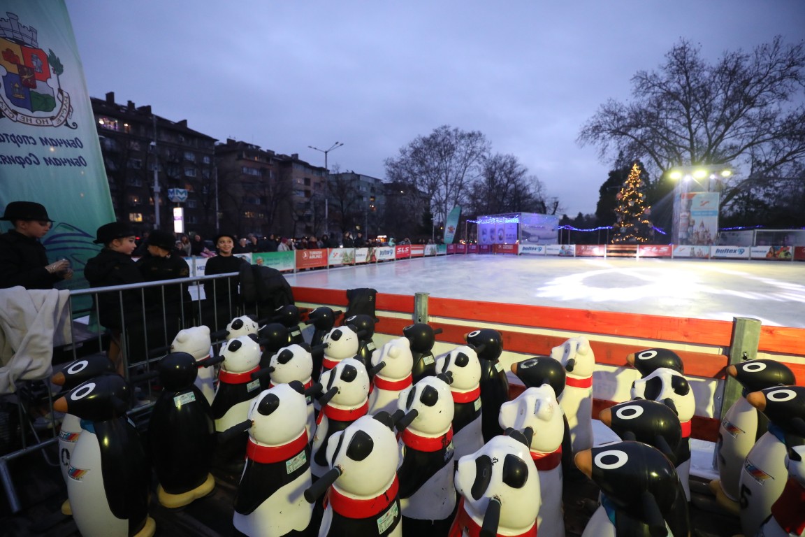 Най-голямата ледена пързалка на Балканите "Айс парк" (Ice Park) беше открита днес в София. Леденият парк заема обща площ от 11 000 кв.м с ледено поле 4000 кв.м с три големи пързалки.