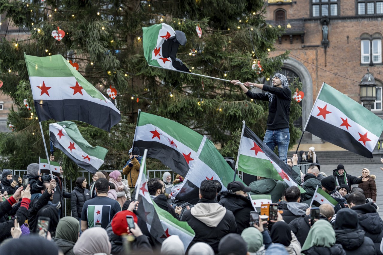 <p>В редица европейски столици сирийски мигранти, сирийско продемократични активисти и местни жители от сирийски произход се събраха да изразят също задоволството си от развитието на ситуацията в Сирия.</p>