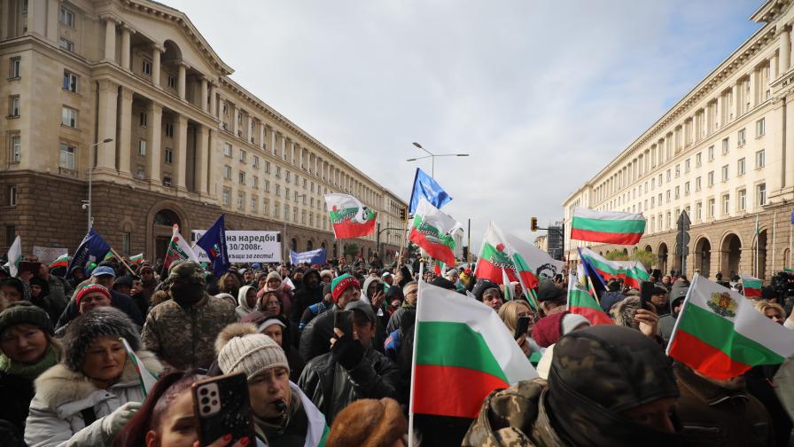 Стопаните на заразените с чума животни излязоха на протест пред МС (ВИДЕО/СНИМКИ)