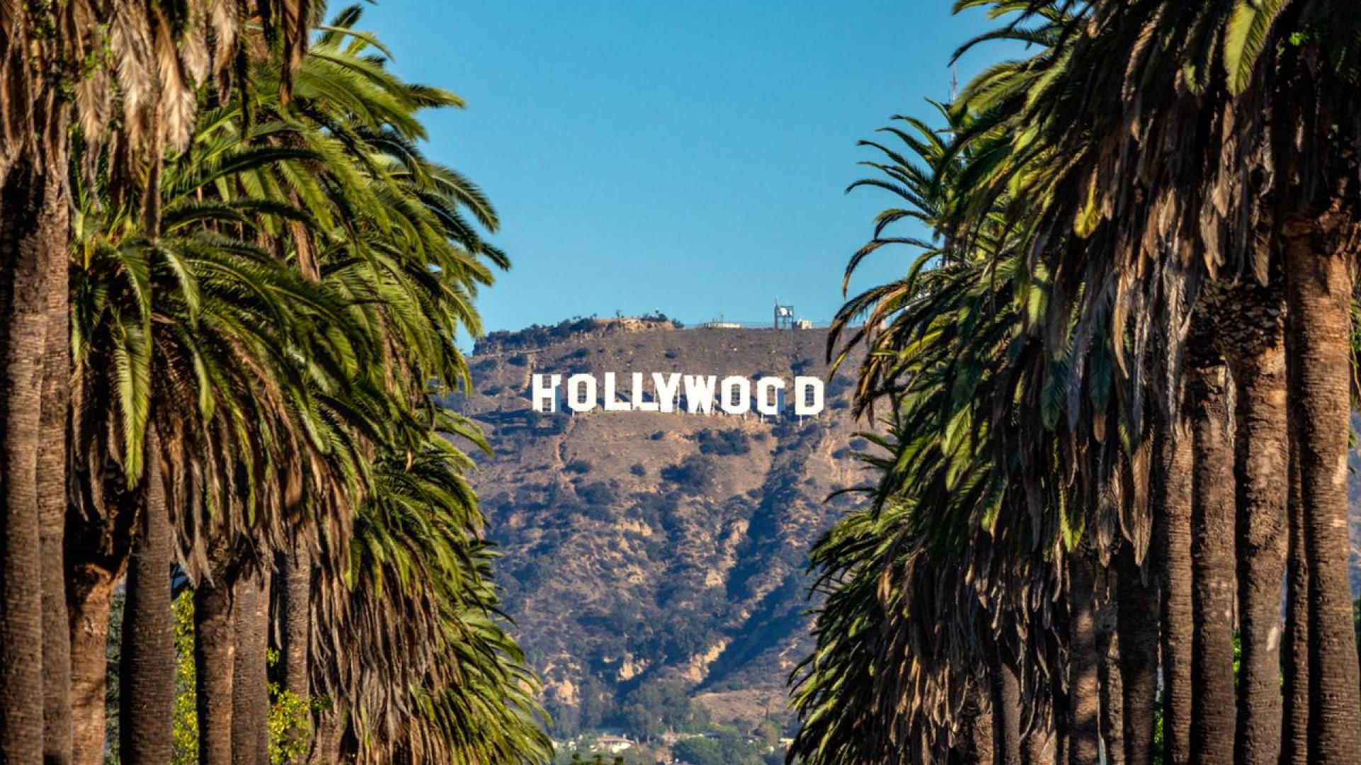 Дългогодишната ръководителка на American Idol и съпругът ѝ музикант са