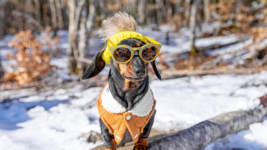 Дъжд и сняг за първа пролет: Какво време да очакваме до края на март