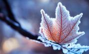 Рязка промяна във времето: Зимата се завръща ❄️