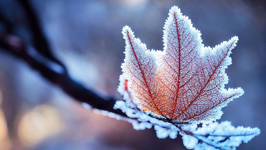 Рязка промяна във времето: Зимата се завръща ❄️