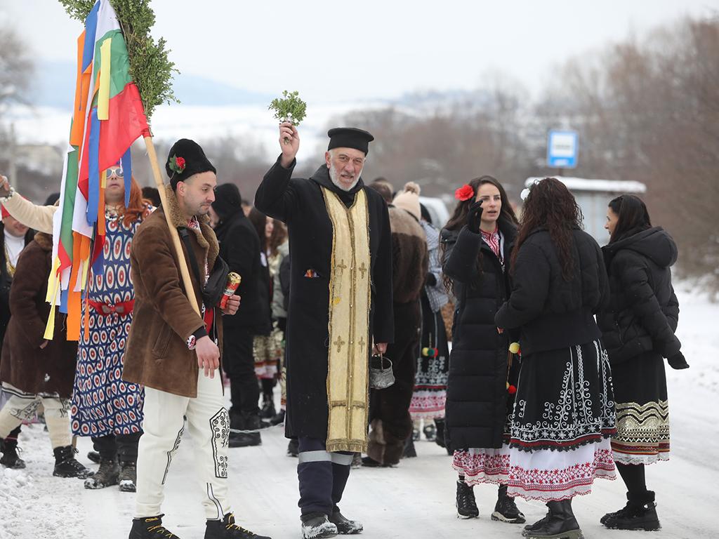 Местна Сурова в Кралев дол