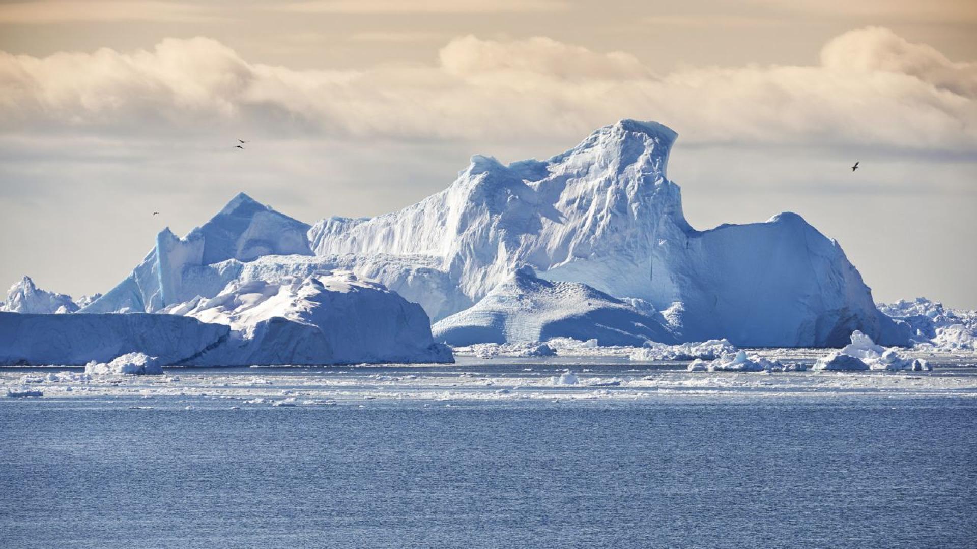 От всички приоритети които Доналд Тръмп постави след завръщането си