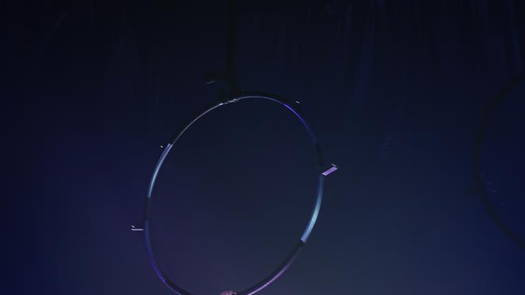  Кралицата на цирковото изкуство Еми Велкова 