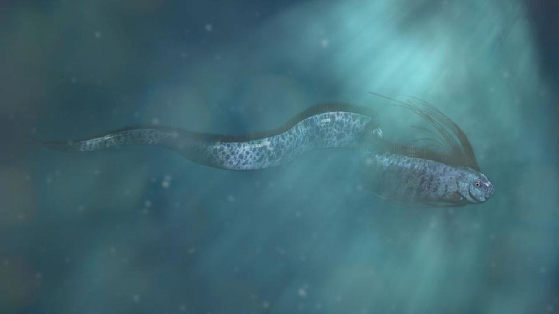 Неотдавнашните наблюдения на рядката риба гребло наричана Рибата на Страшния