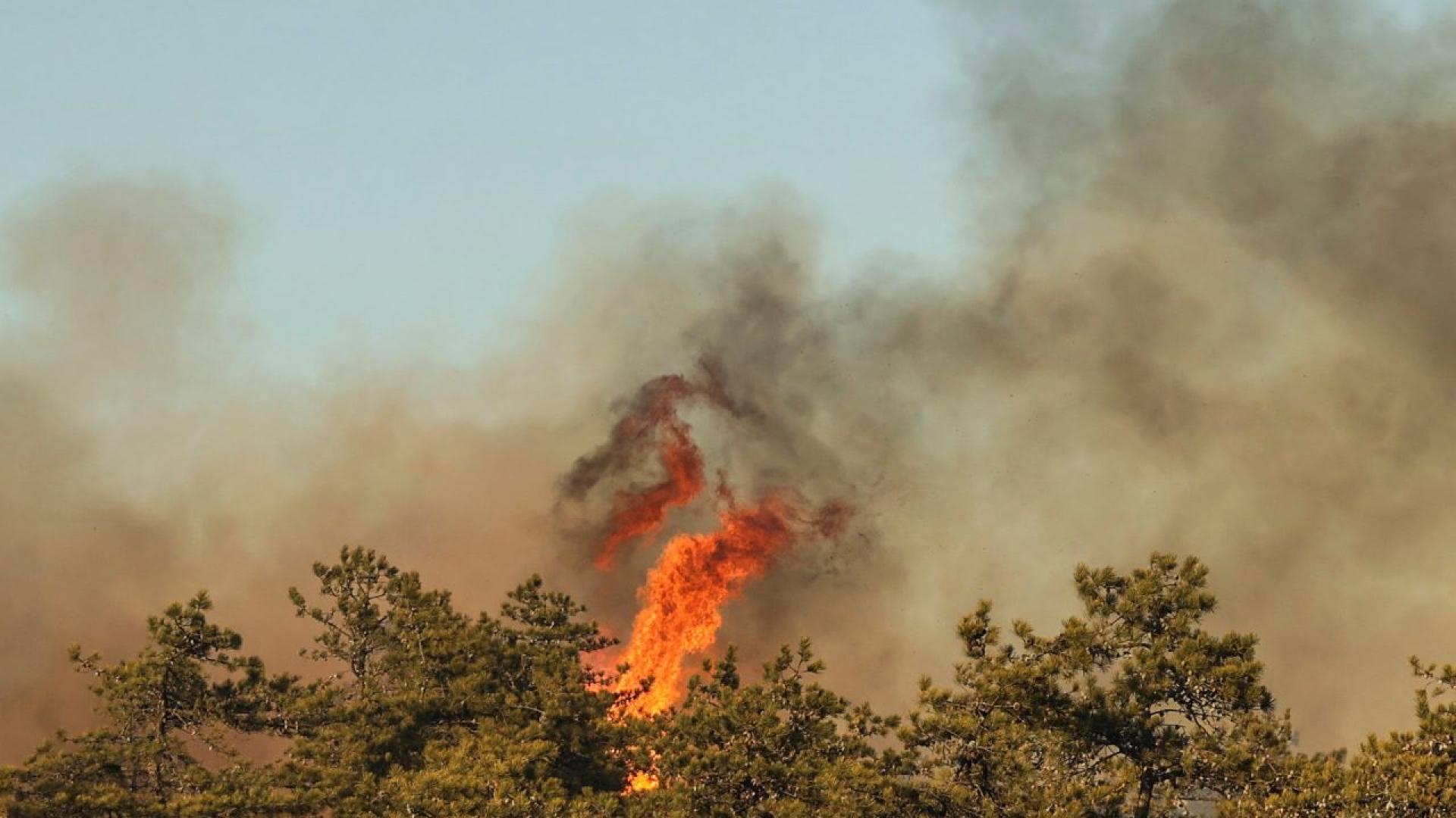 Бързо разпространяващи се горски пожари подхранвани от силните ветрове обхванаха