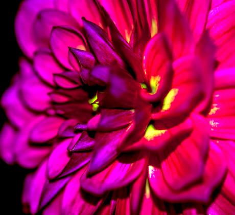 Добро утро Нека започнем деня с вдъхновяващи думи Ако търсиш