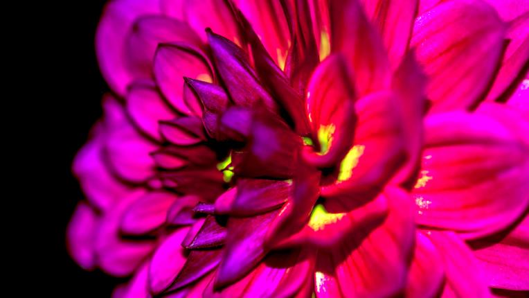  Дневен хороскоп за 23 април, сряда 