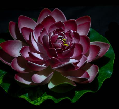 Добро утро Нека започнем деня с вдъхновяващи думи Ако една