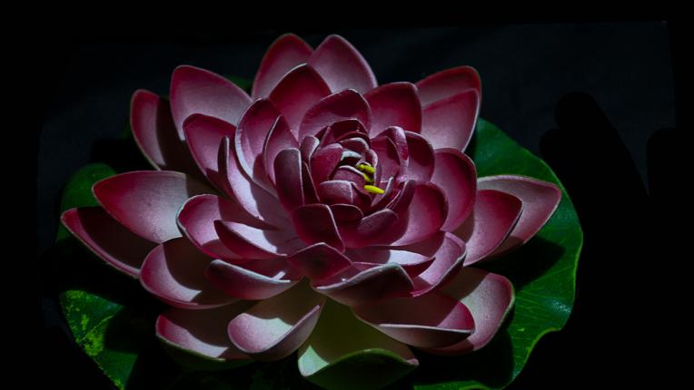  Дневен хороскоп за 28 април, понеделник 