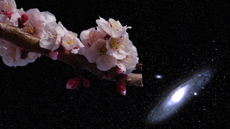  Дневен хороскоп за 27 март, четвъртък 