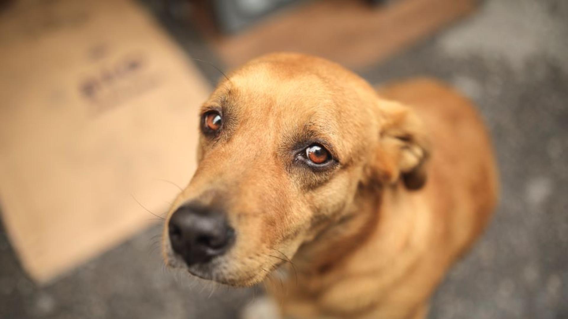 Общо 318 лица са предадени на съд за насилие срещу