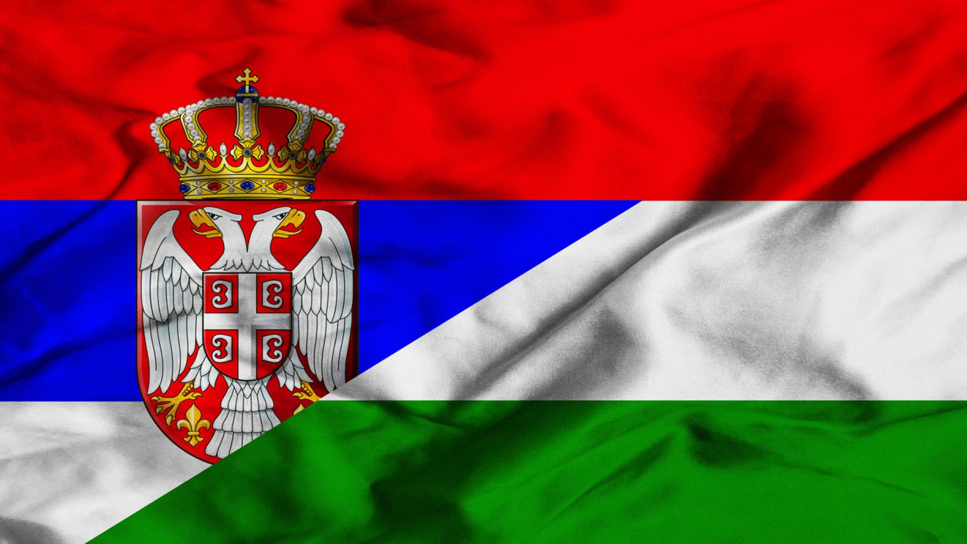 Сърбия и Унгария водят сериозни преговори за създаването на военен