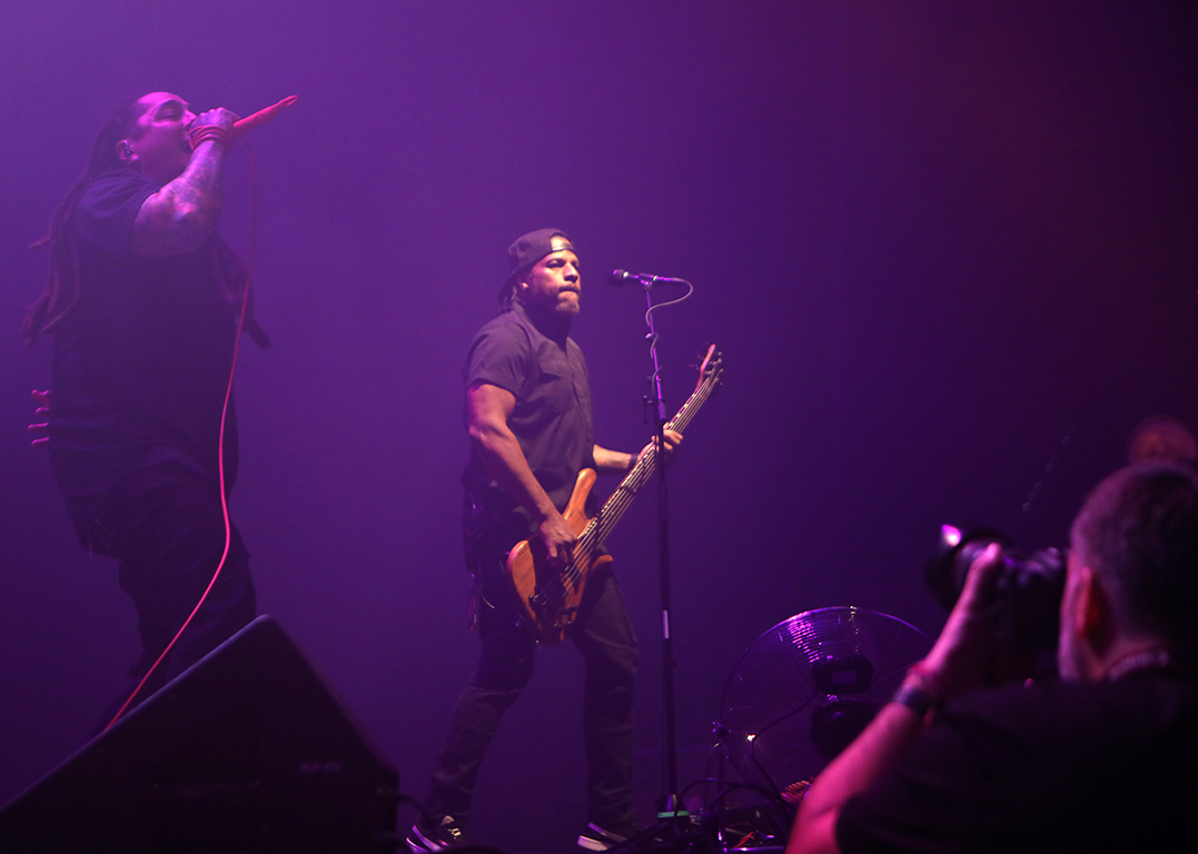 <p>P.O.D.</p>