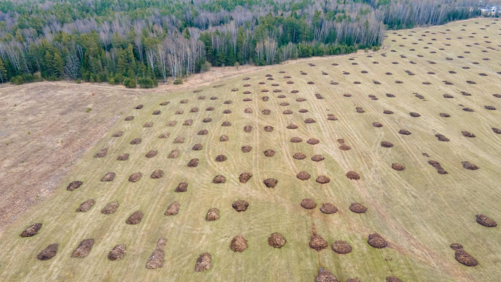 Балтийските държави Полша а може би и Финландия възнамеряват да