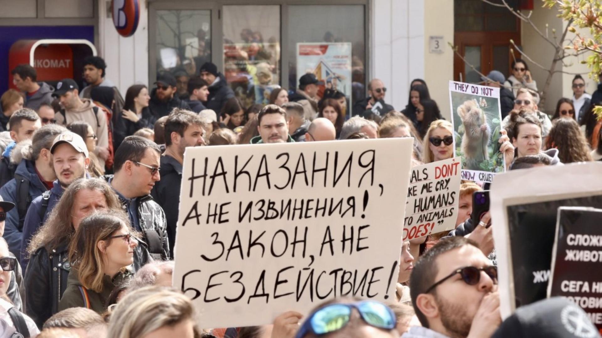 Протест в защита на правата на животните събра граждани пред