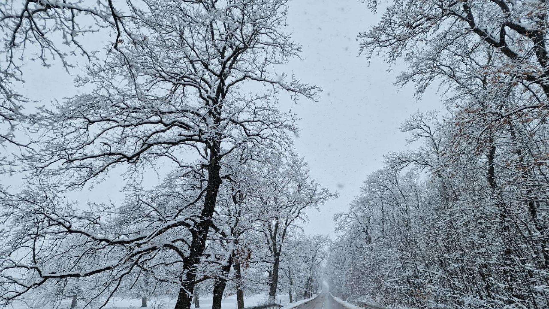 Шофьорите на които им предстои пътуване днес и в следващите