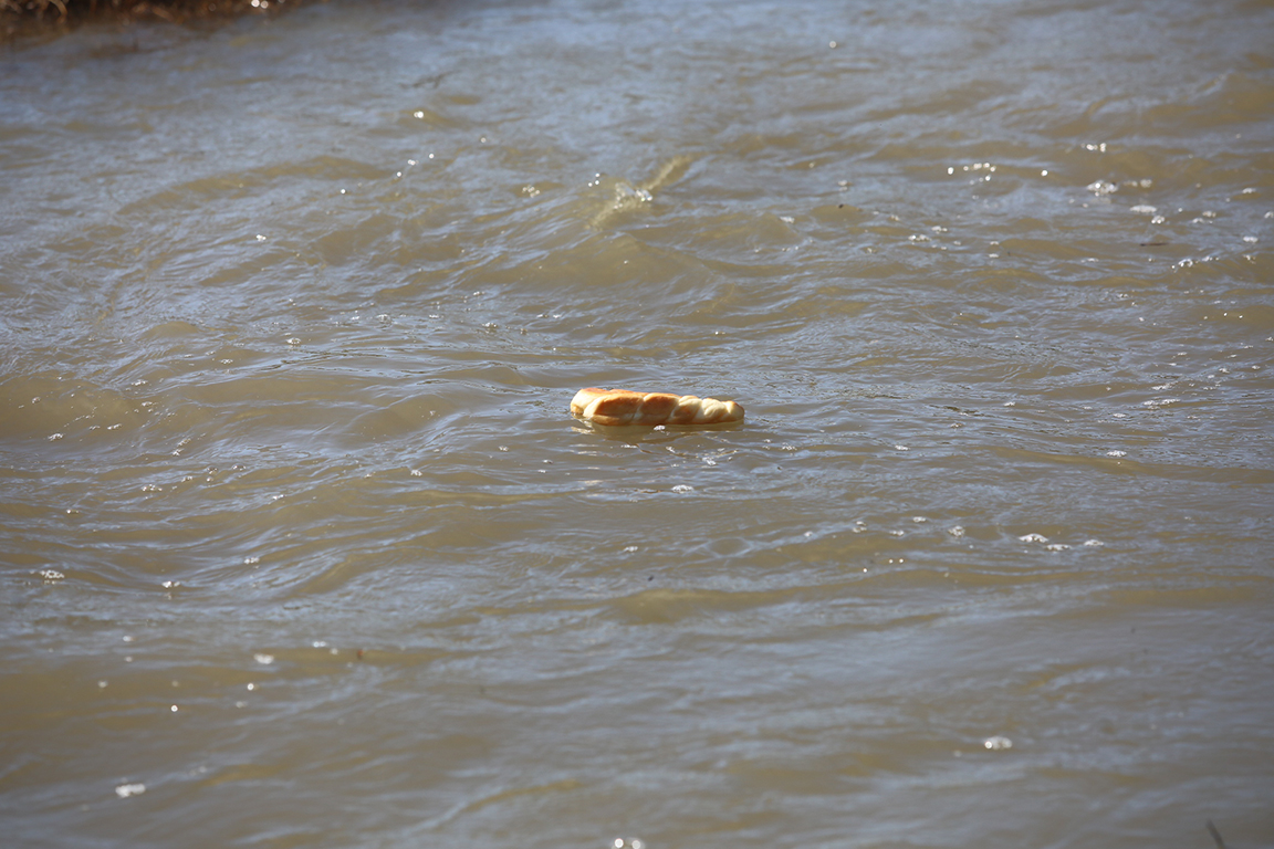 <p>Кумичене край река Искър до гр. Койнаре</p>