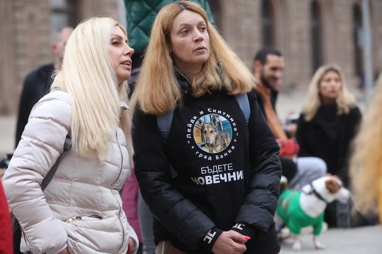 <p>Протест срещу насилието над животни събра десетки души пред сградата на Народното събрание.</p>