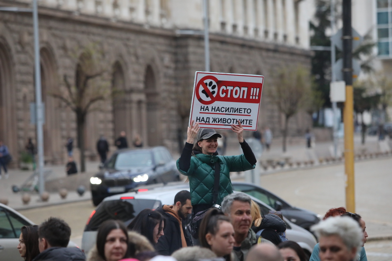 <p>Протест срещу насилието над животни събра десетки души пред сградата на Народното събрание.</p>