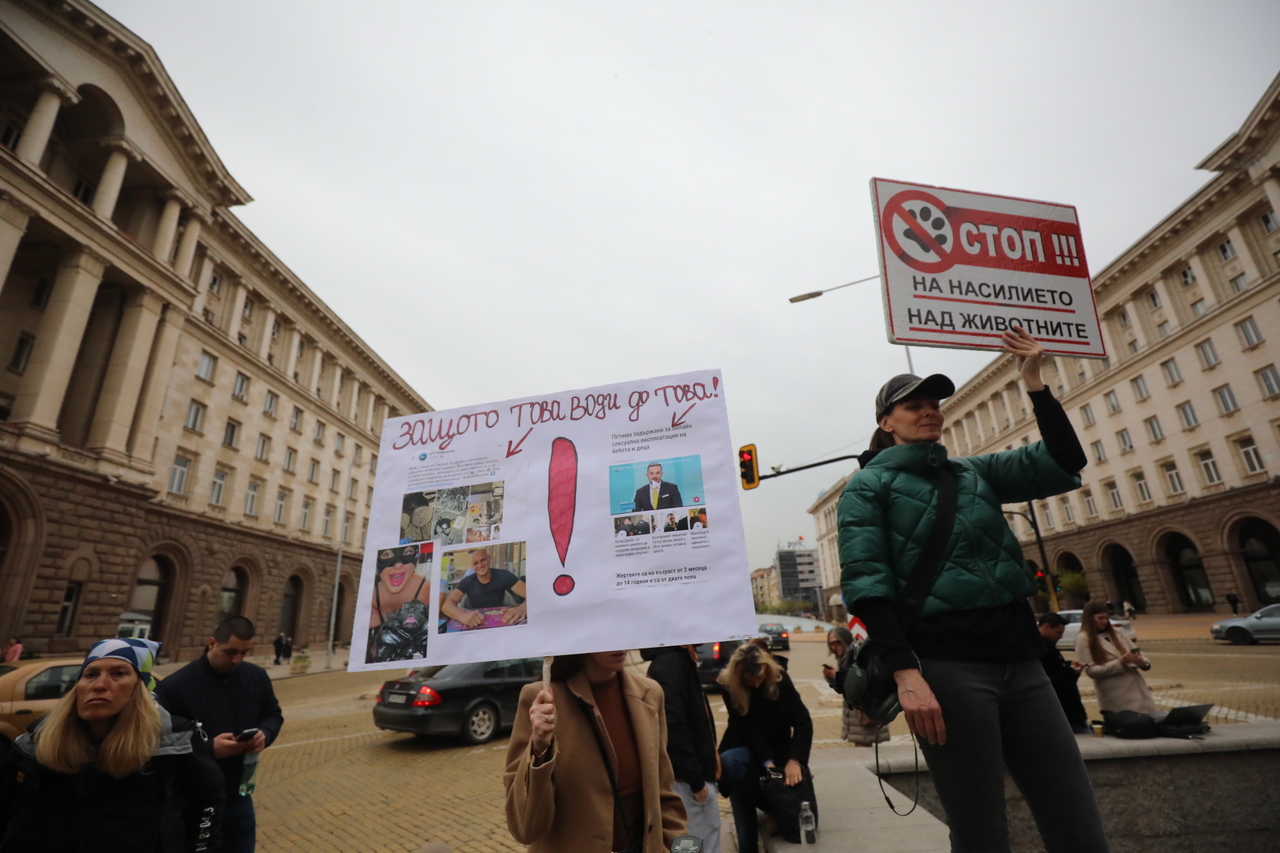 <p>Протест срещу насилието над животни събра десетки души пред сградата на Народното събрание.</p>