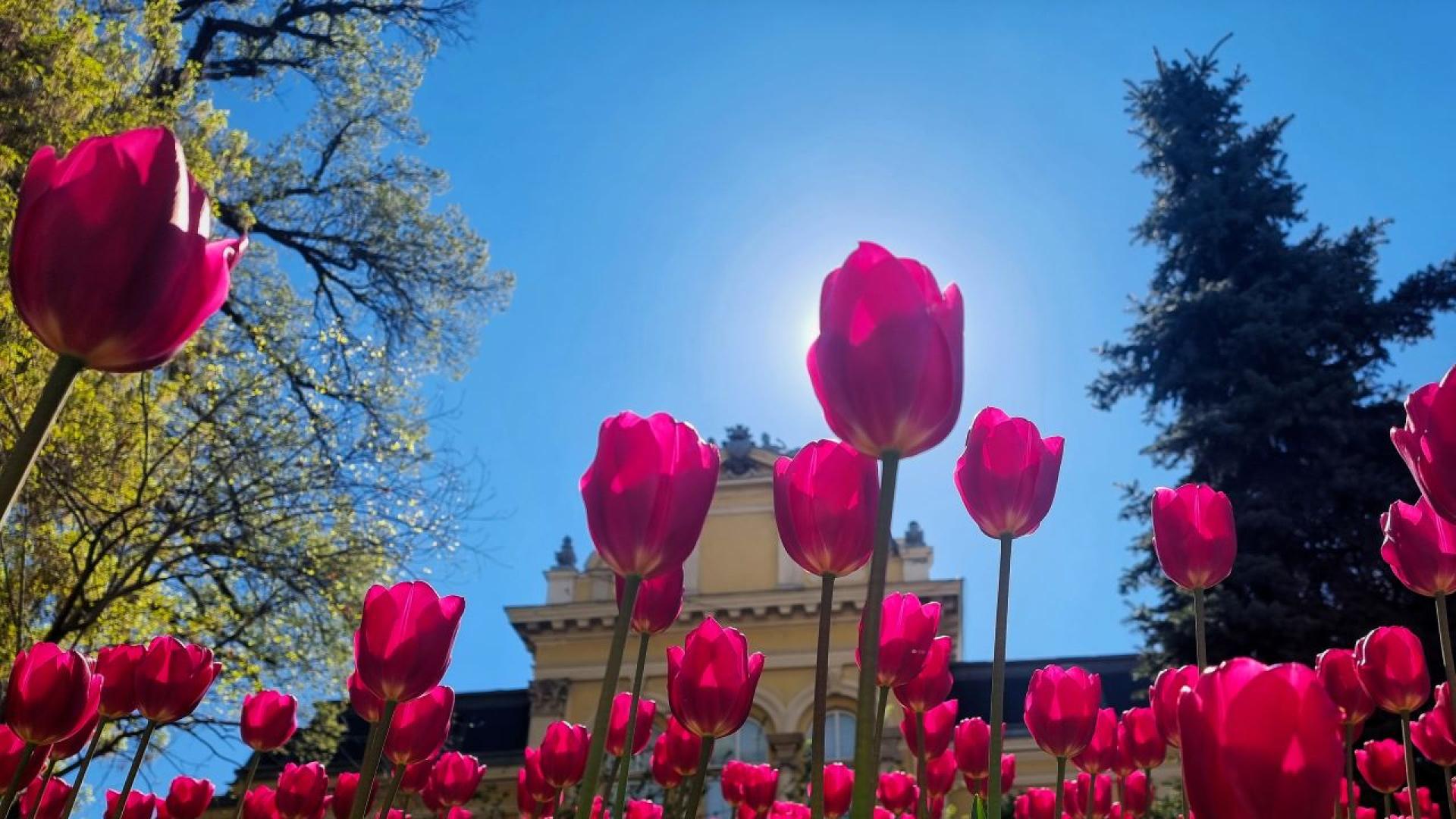 Впетък преди обяд в по голямата част от страната ще бъде