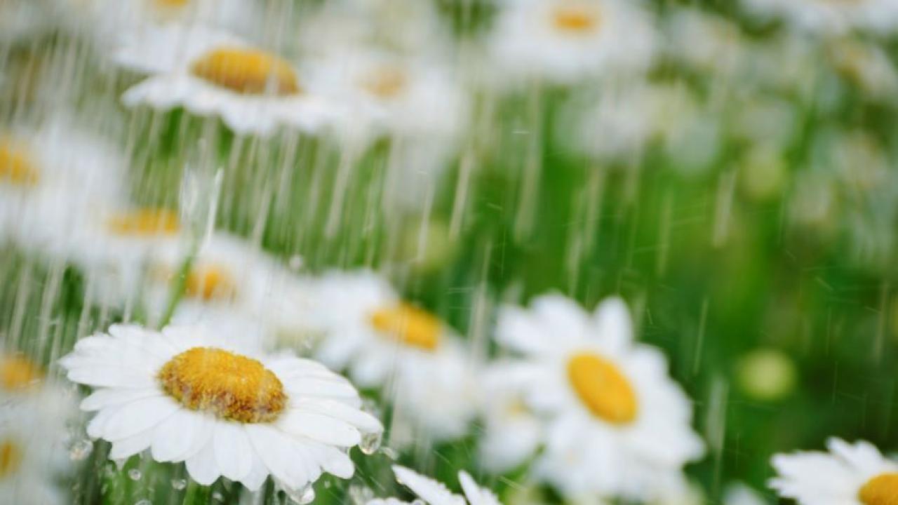 Илюстративна снимка