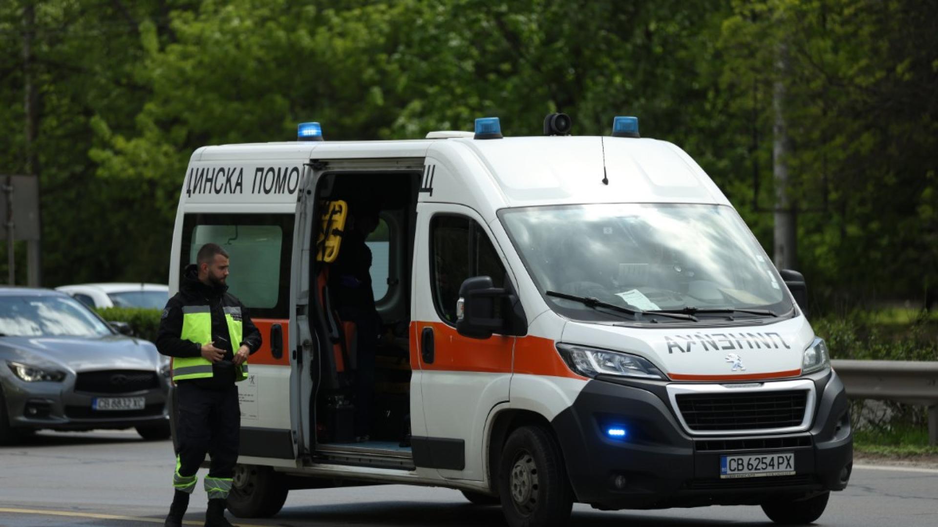 Движението по столичния бул Цариградско шосе е затруднено поради верижна