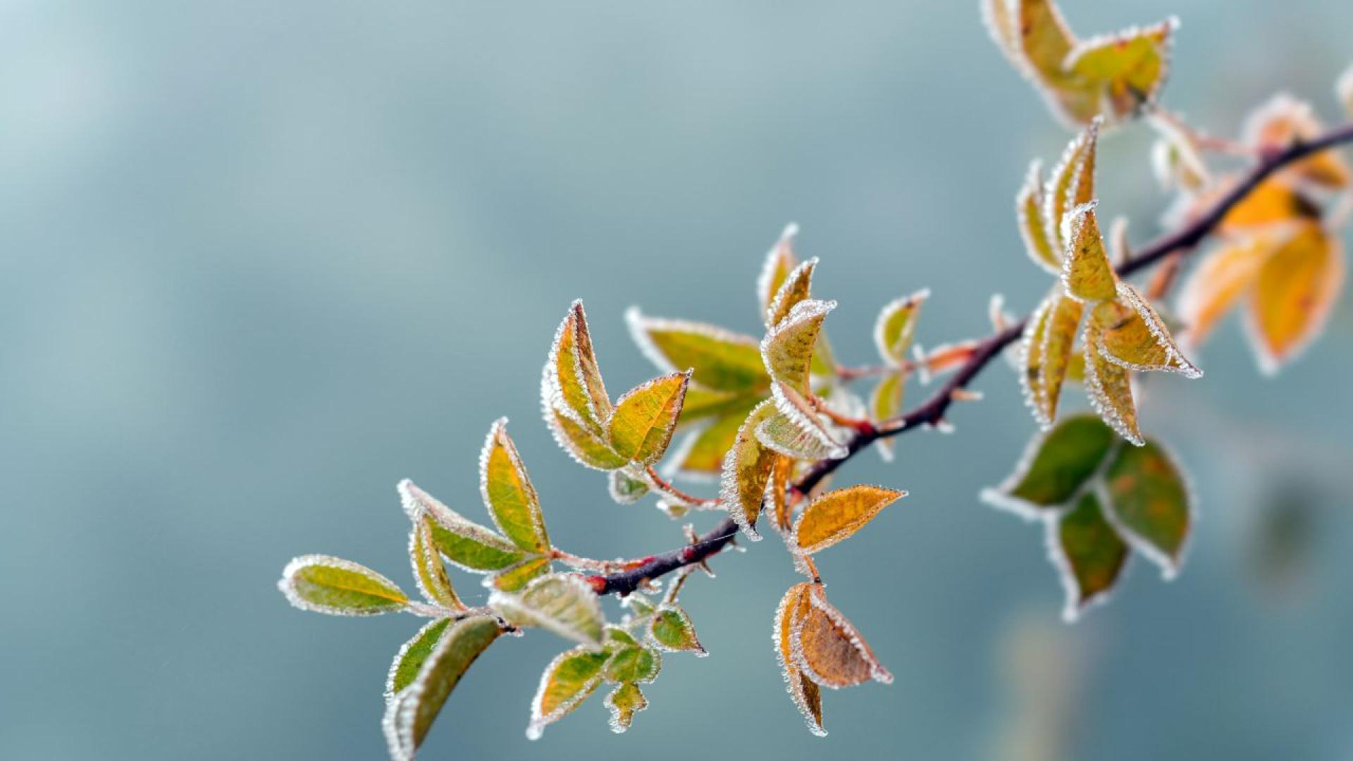 За сряда 30 април от НИМХ отново е издадено предупреждение