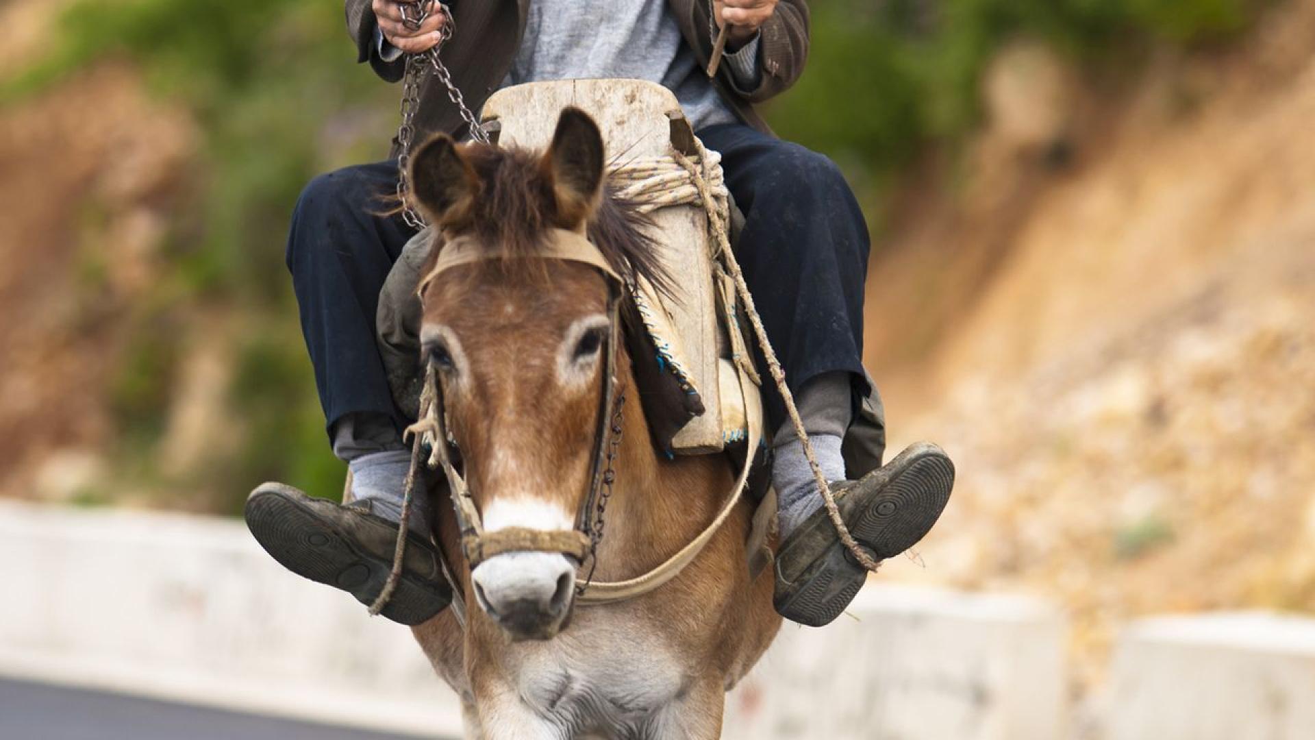 Малко неща болят така както разбито сърце Всеки се справя