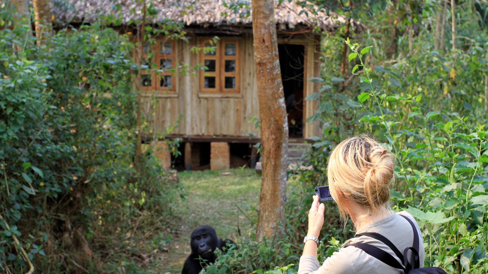Все още има места на Земята където природата не е