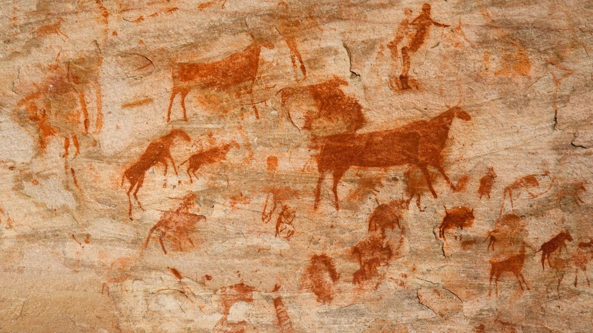 Вначалото на 1970 те години под жаркото южноафриканско слънце 14 годишният Стивън