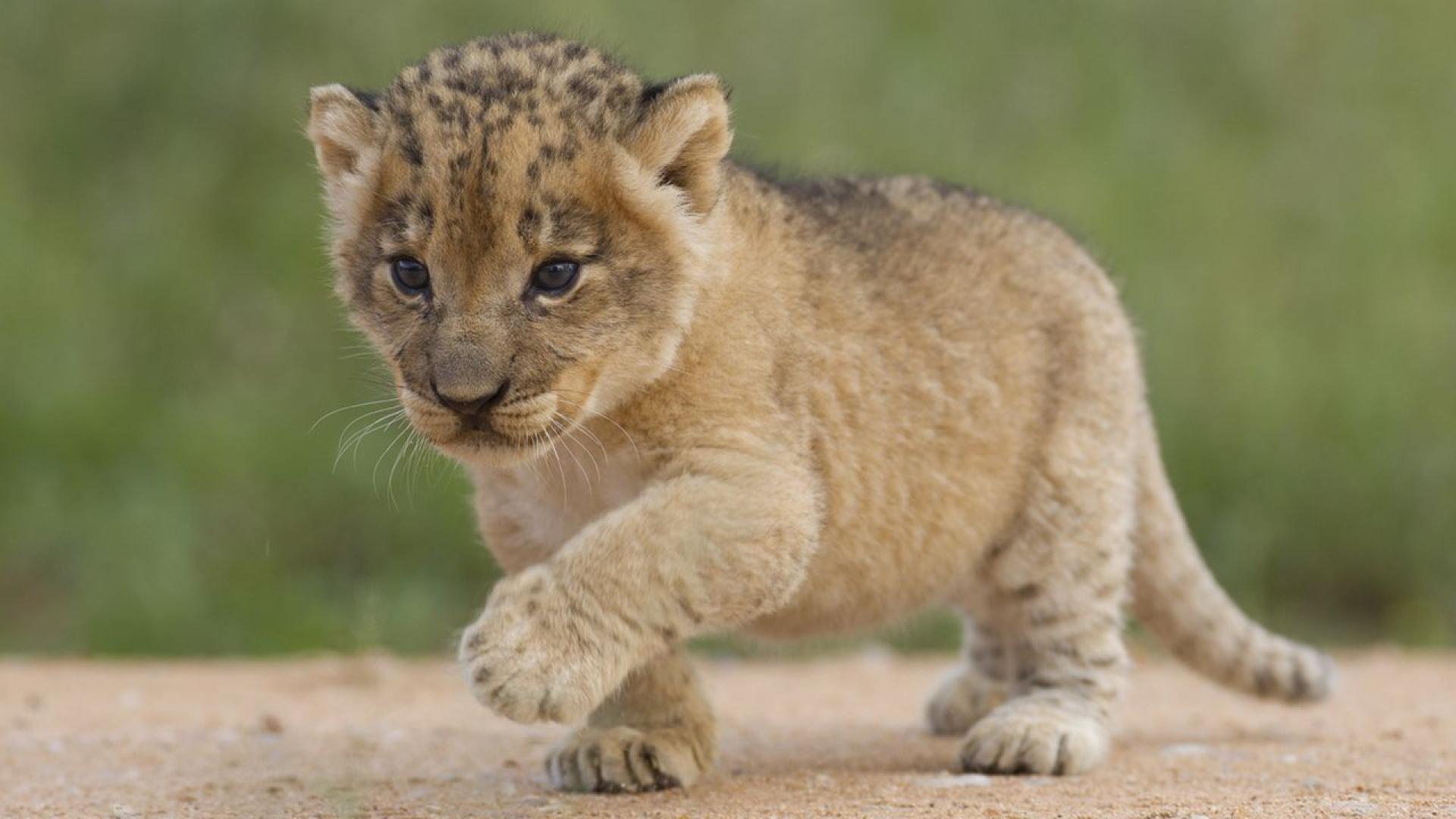 На фона на ексклузивно парти в Банкок където гостите се