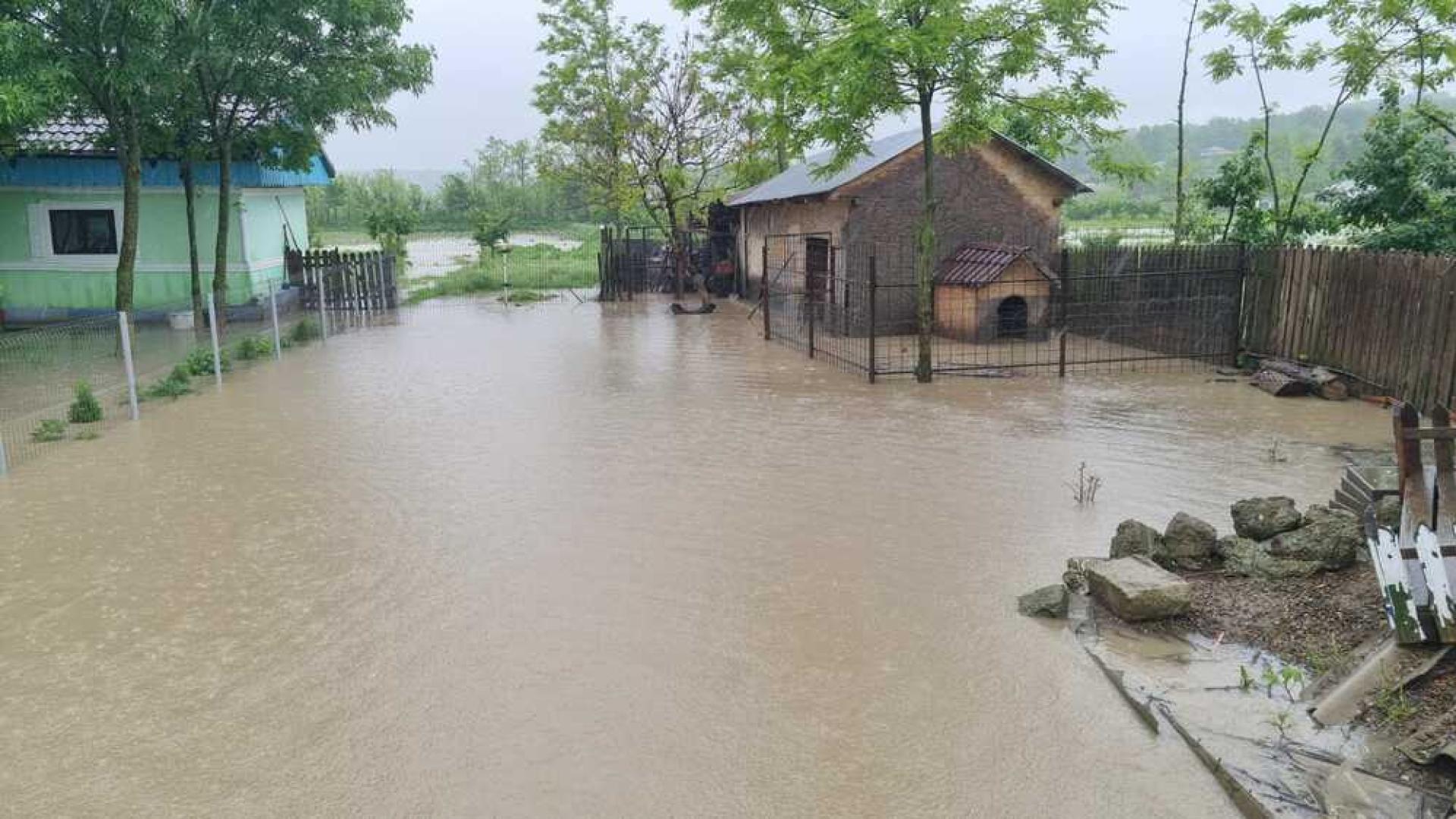 Голяма част от Румъния е обхваната от лошо време обилни