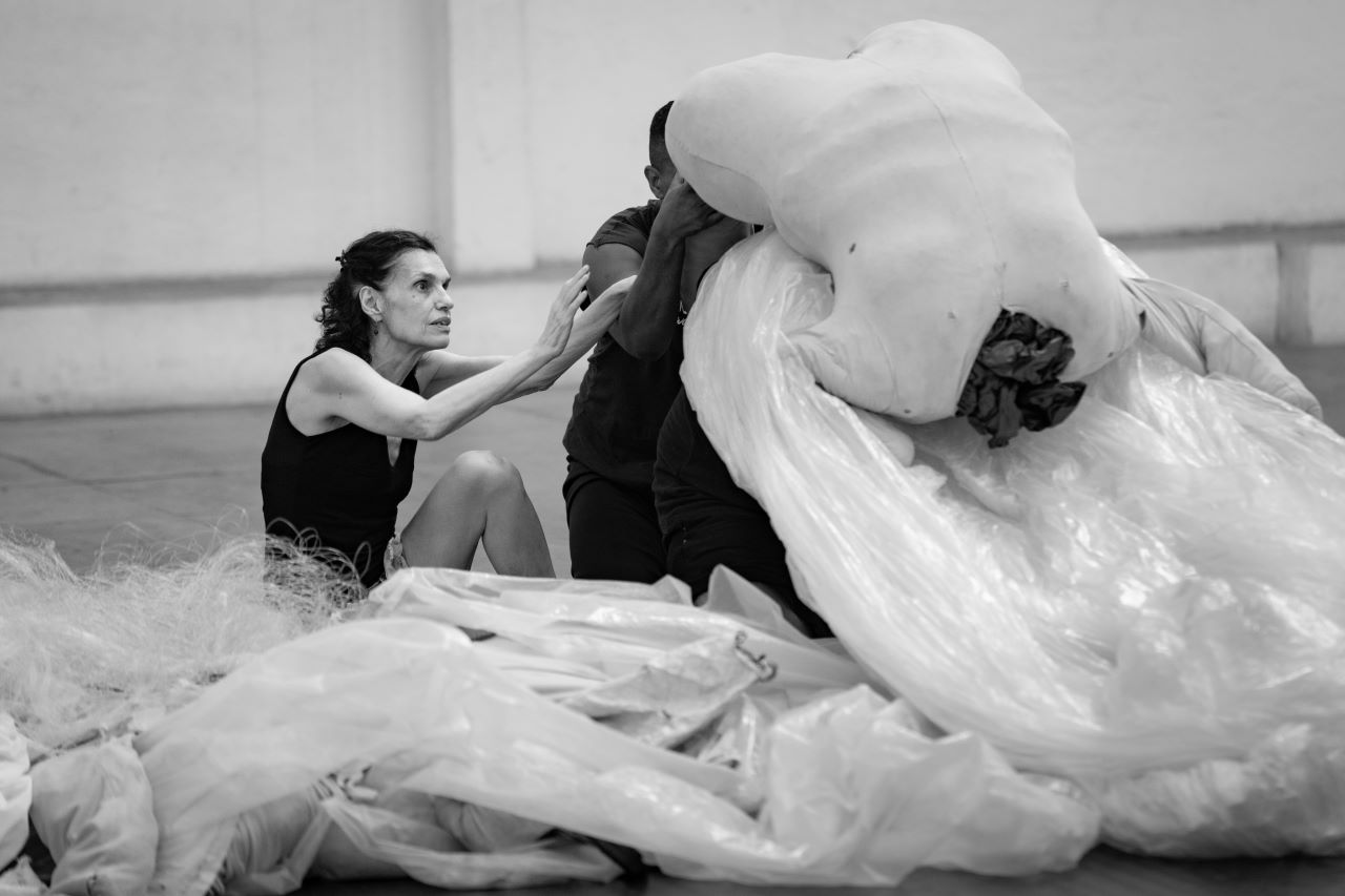 Спектакли от Бразилия и България във финалния уикенд на Оne Dance Festival 2025