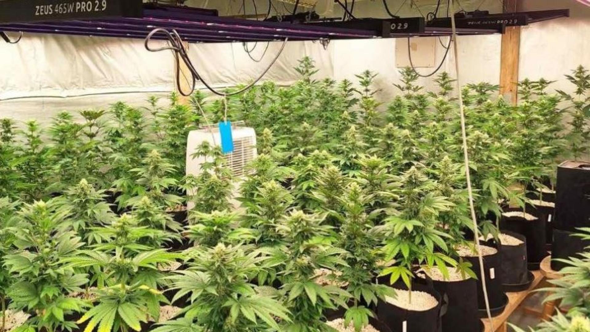 Нарколаборатория работеща със зелена енергия е разкрита при специализирана полицейска