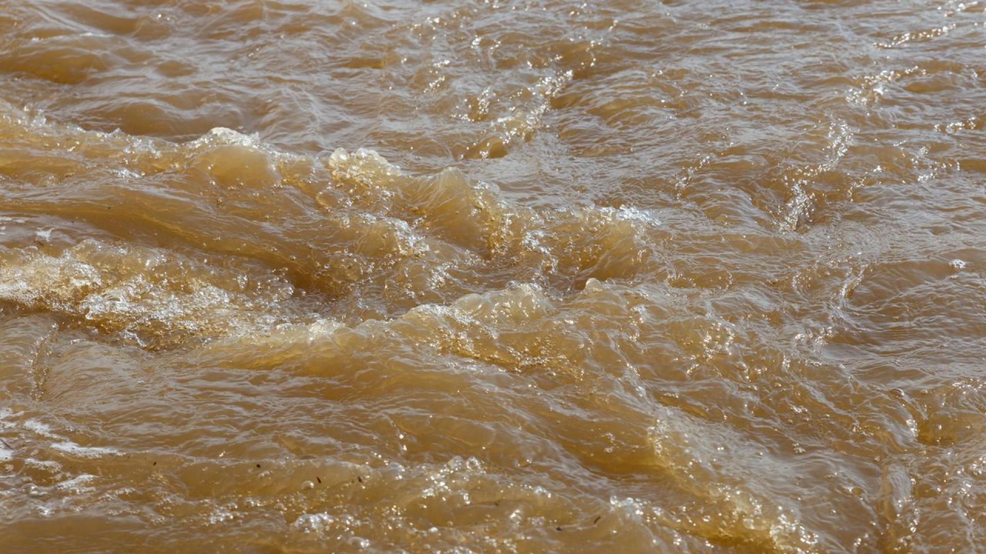 Сигнал за поредно замърсяване на една от емблематичните софийски реки