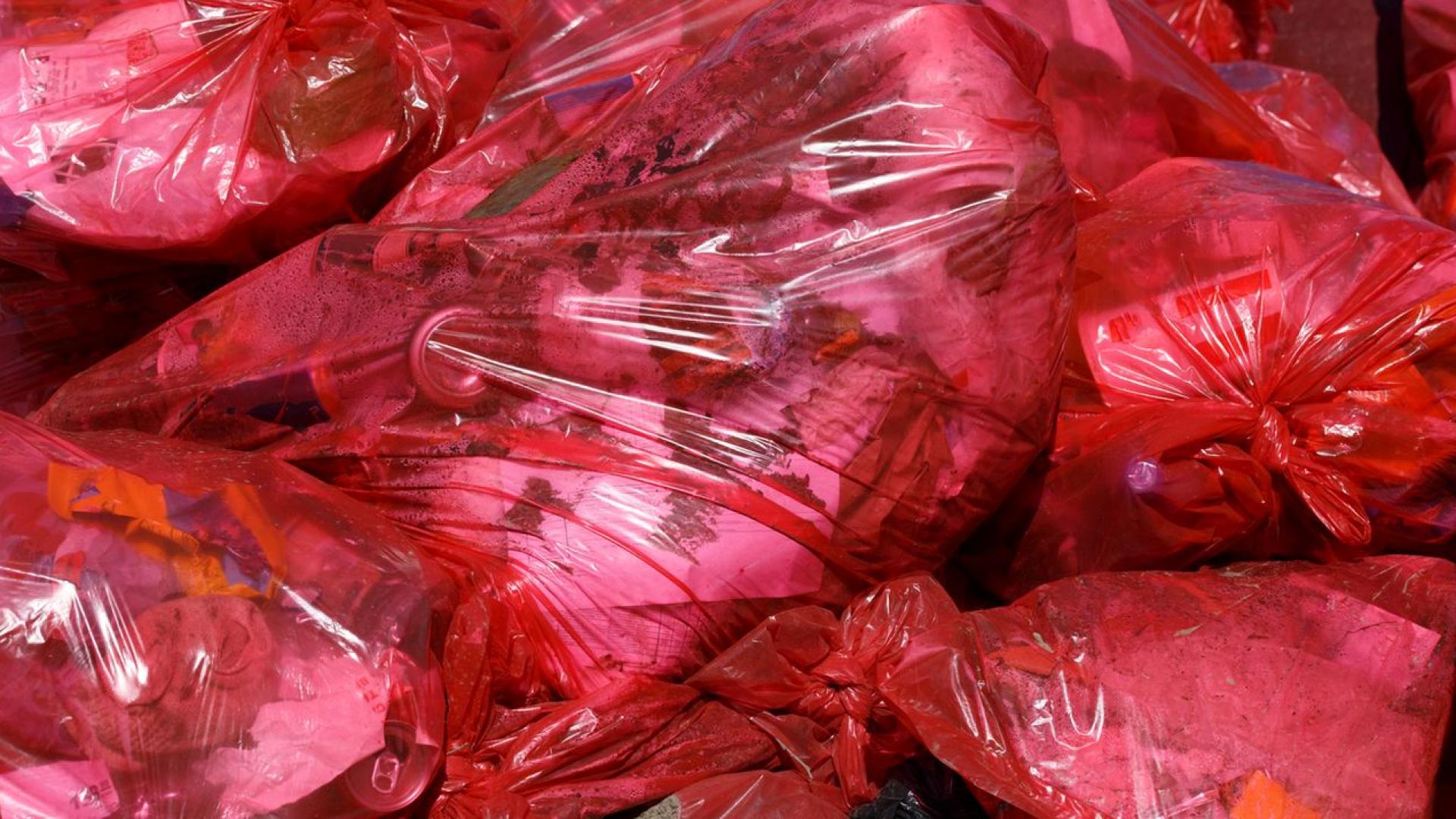 Шведска предприемачка някога наричана кралицата на боклука получи шест години