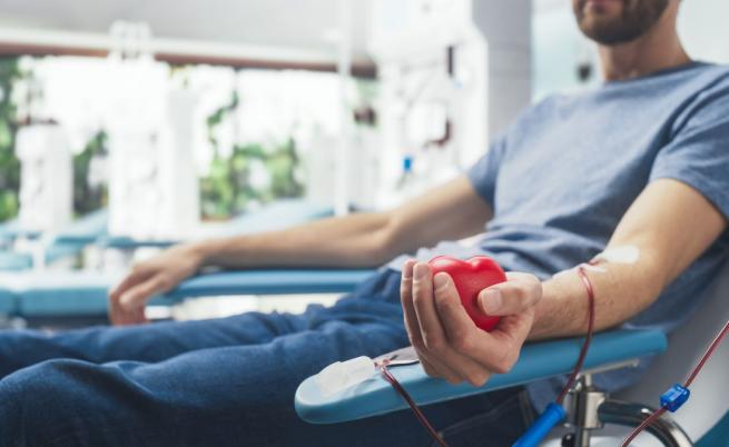 Австралия отменя забраната за даряване на кръв и плазма за хомосексуалисти